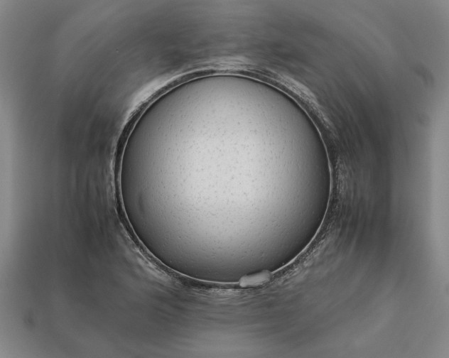 X0000113261176200909241516