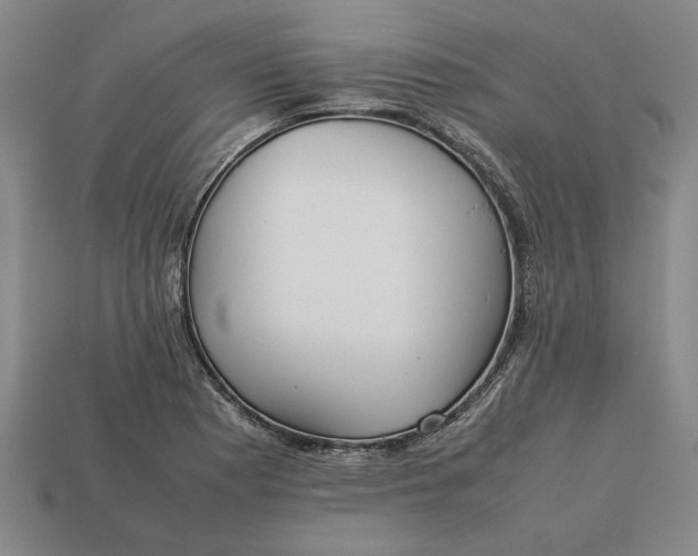 X0000113261177200909241516