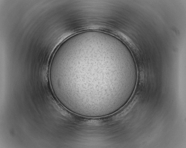 X0000113261178200909241516