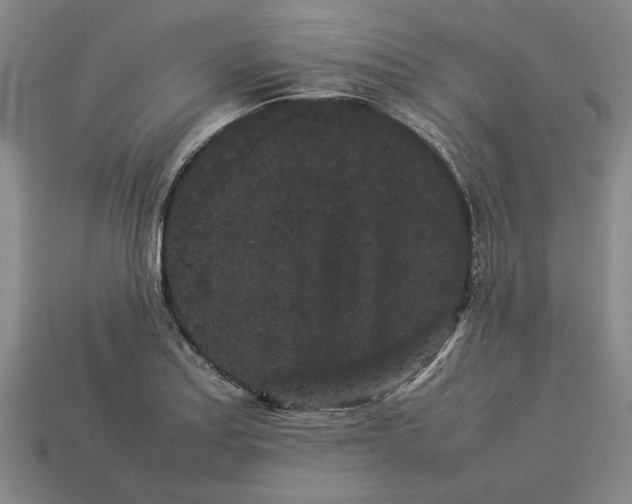 X0000113261179200909241516