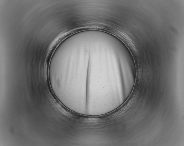 X0000113261180200909241516