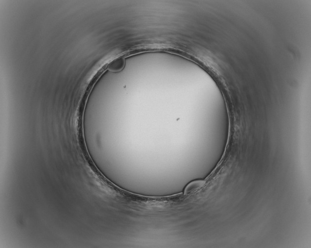 X0000113261181200909241516