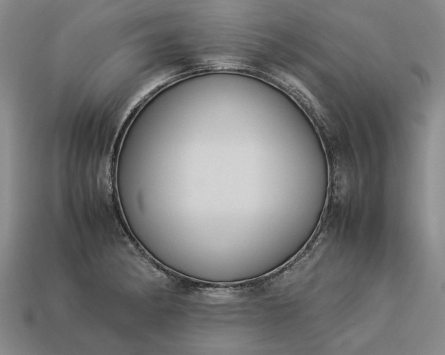 X0000113261182200909241516