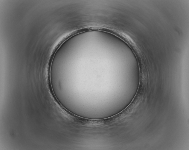 X0000113261183200909241516