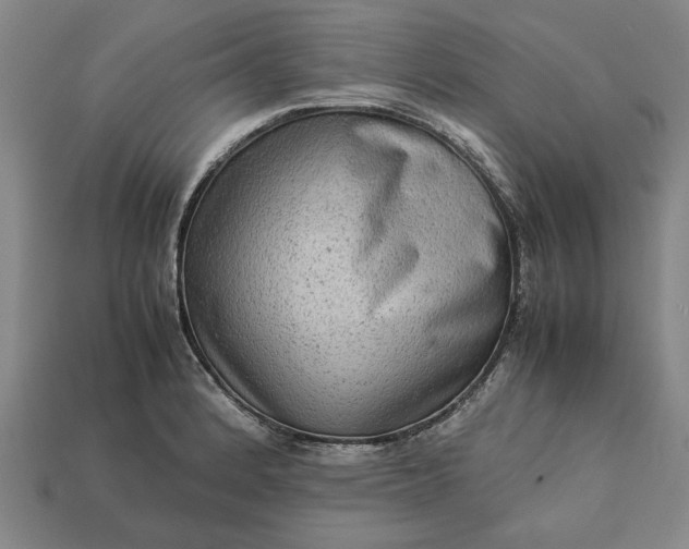 X0000113261184200909241516