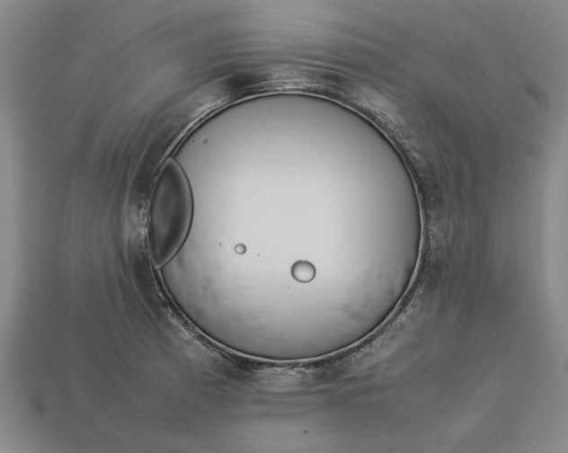 X0000113261185200909241516