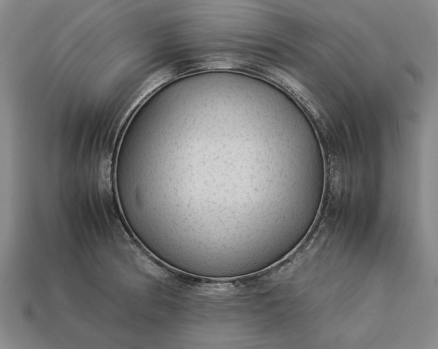 X0000113261186200909241516