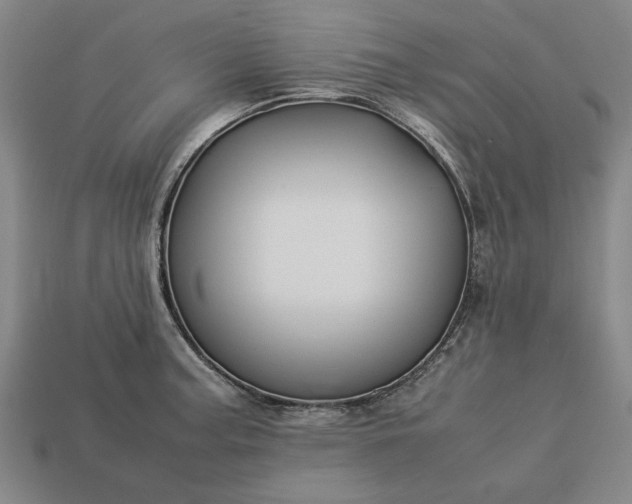 X0000113261187200909241516