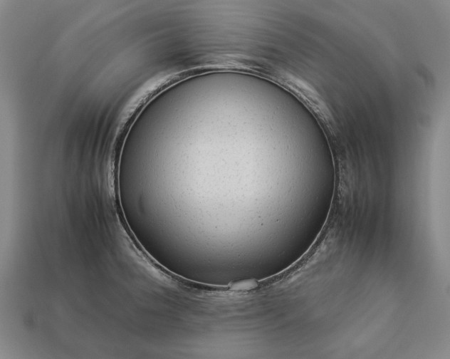 X0000113261188200909241516