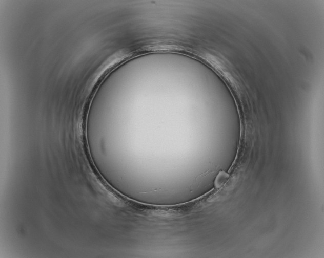 X0000113261189200909241516