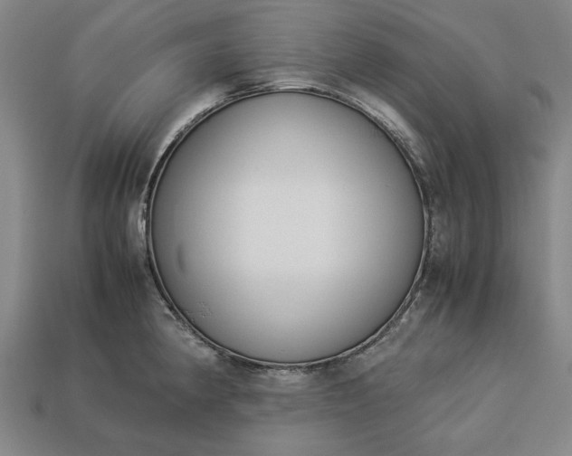 X0000113261190200909241516