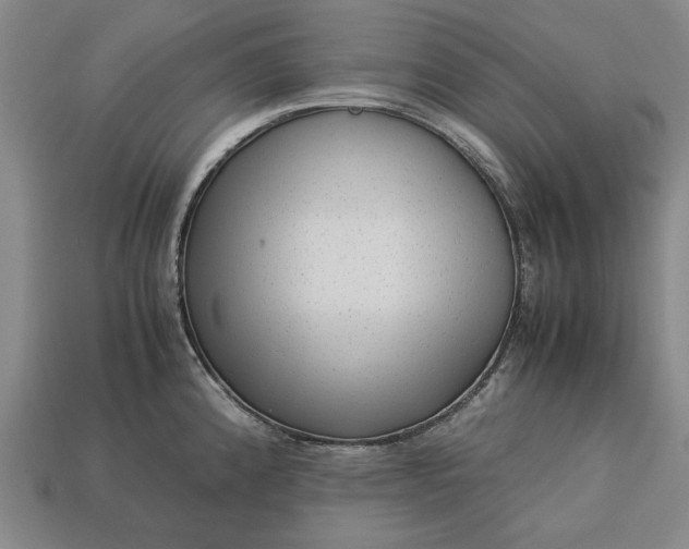 X0000113261192200909241516