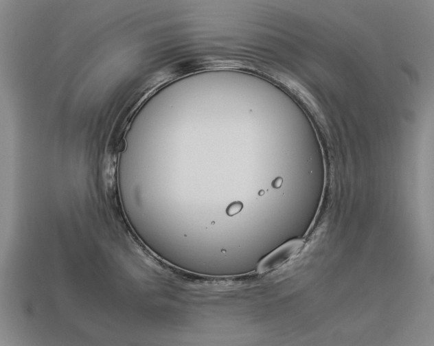 X0000113261193200909241516