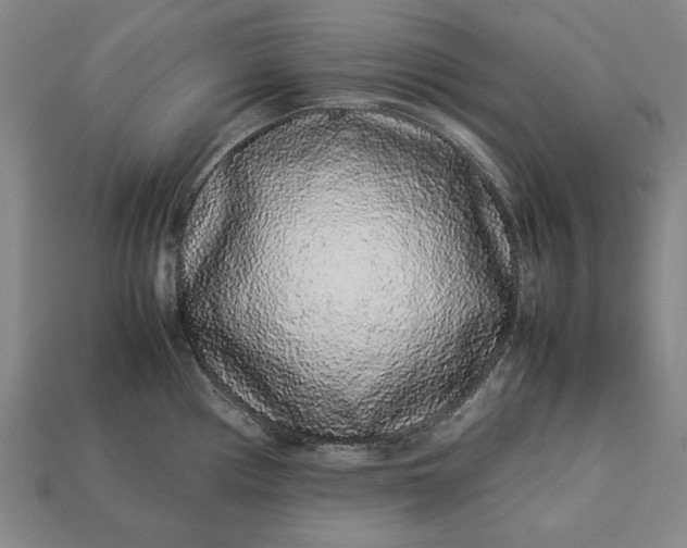 X0000113261194200909241516