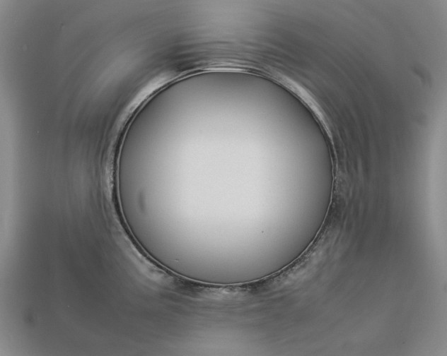 X0000113261195200909241516