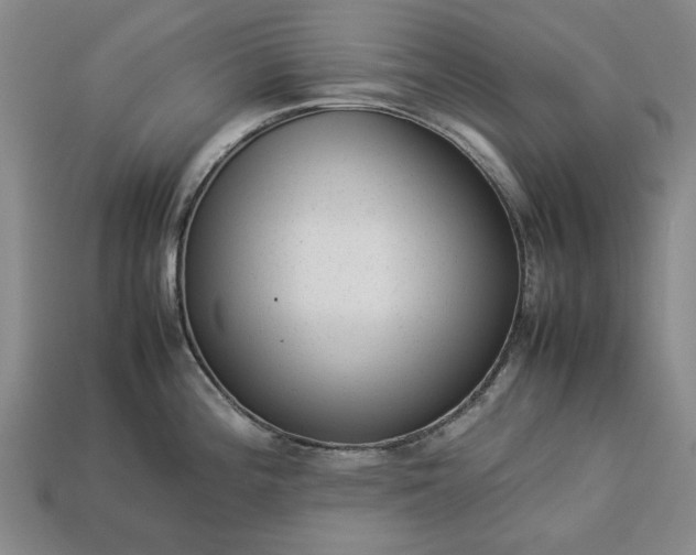 X0000113261196200909241516