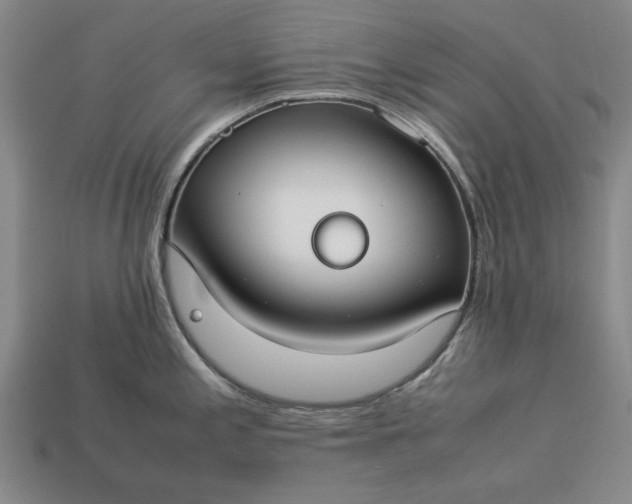 X0000113261197200909241516