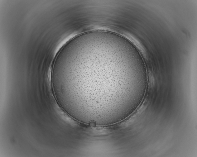 X0000113261198200909241516