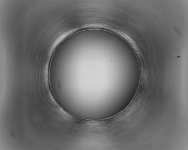 X0000113261199200909241516