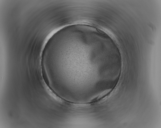 X0000113261200200909241516