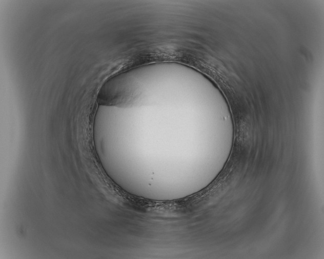 X0000113261201200909241515