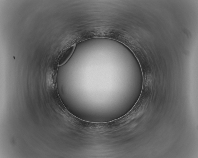 X0000113261202200909241515