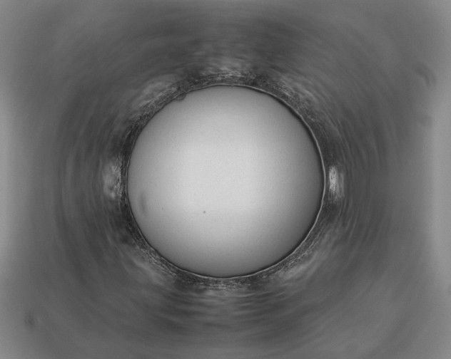 X0000113261203200909241515