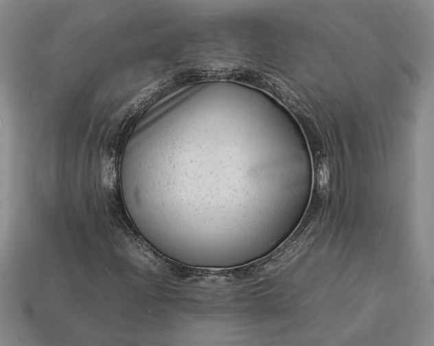 X0000113261204200909241515