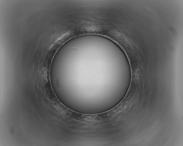 X0000113261205200909241515