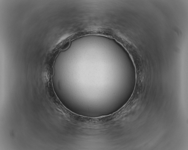 X0000113261206200909241515