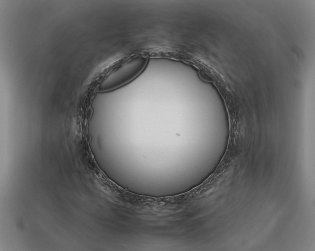 X0000113261207200909241515