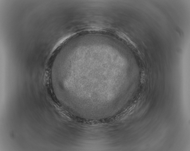 X0000113261208200909241515