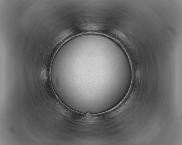 X0000113261209200909241515