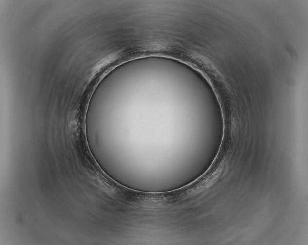 X0000113261210200909241515