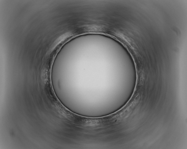 X0000113261211200909241515