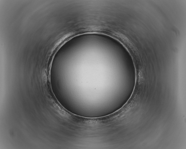 X0000113261212200909241515