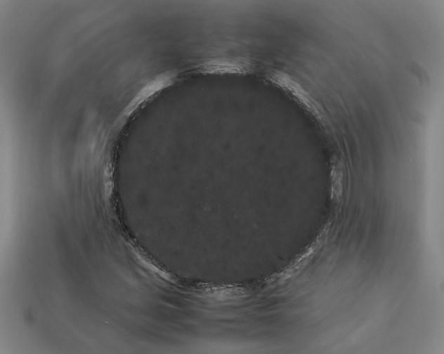 X0000113261213200909241515