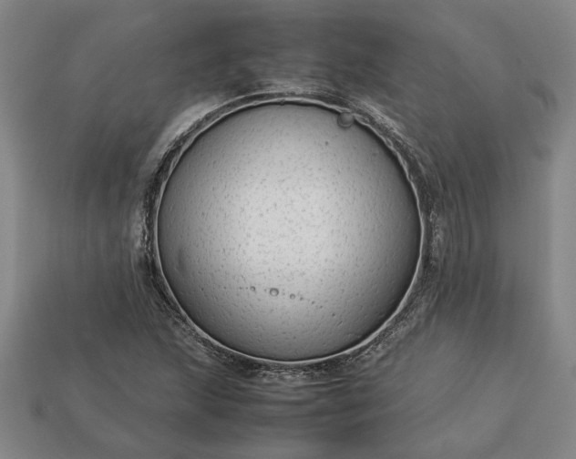 X0000113261215200909241515