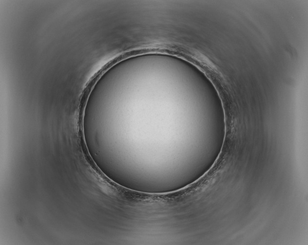 X0000113261216200909241515