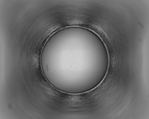 X0000113261217200909241515