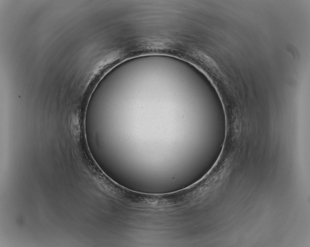 X0000113261218200909241515