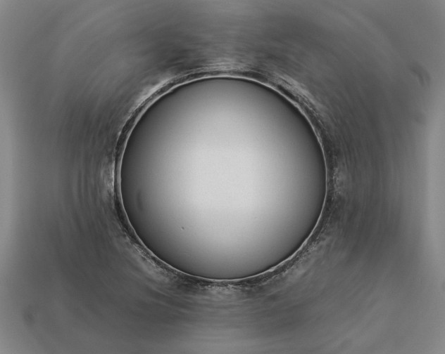 X0000113261220200909241515