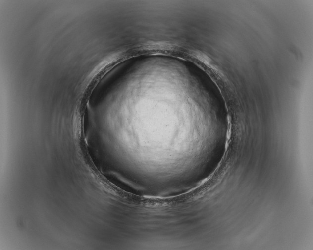 X0000113261221200909241515