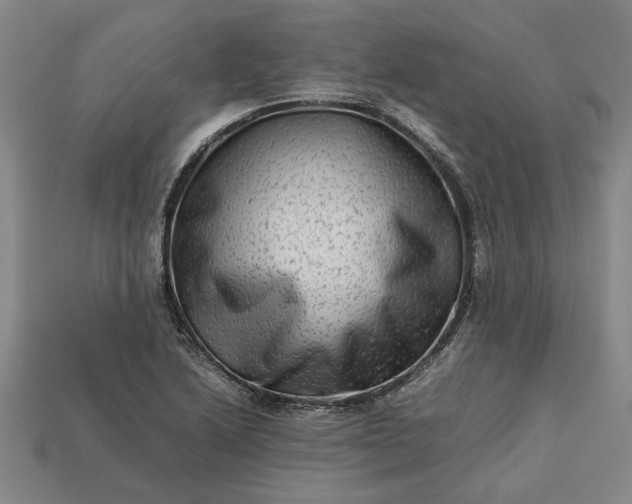 X0000113261222200909241516