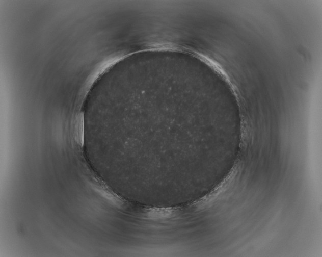 X0000113261223200909241516