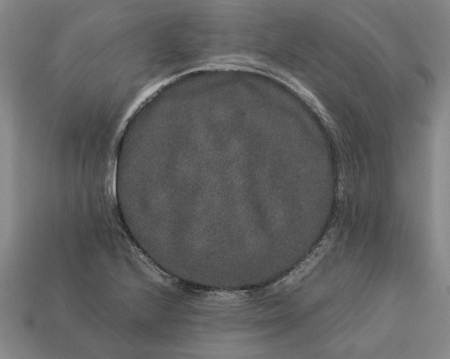 X0000113261224200909241516