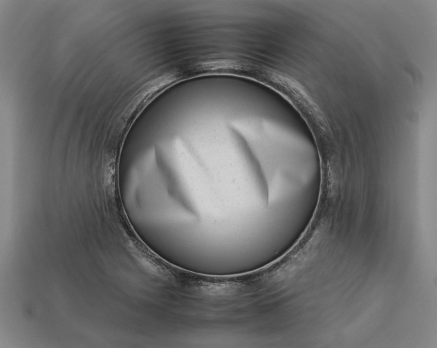 X0000113261225200909241516