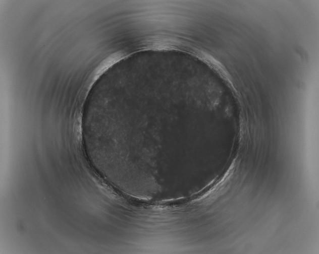 X0000113261226200909241516