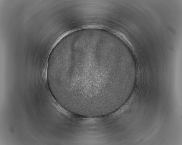 X0000113261228200909241516