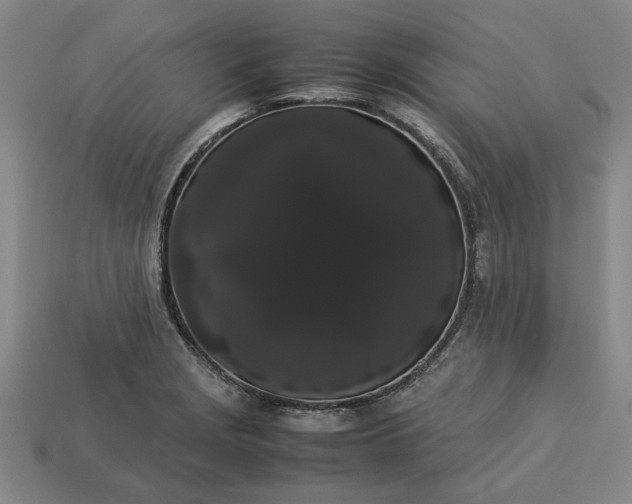 X0000113261229200909241516